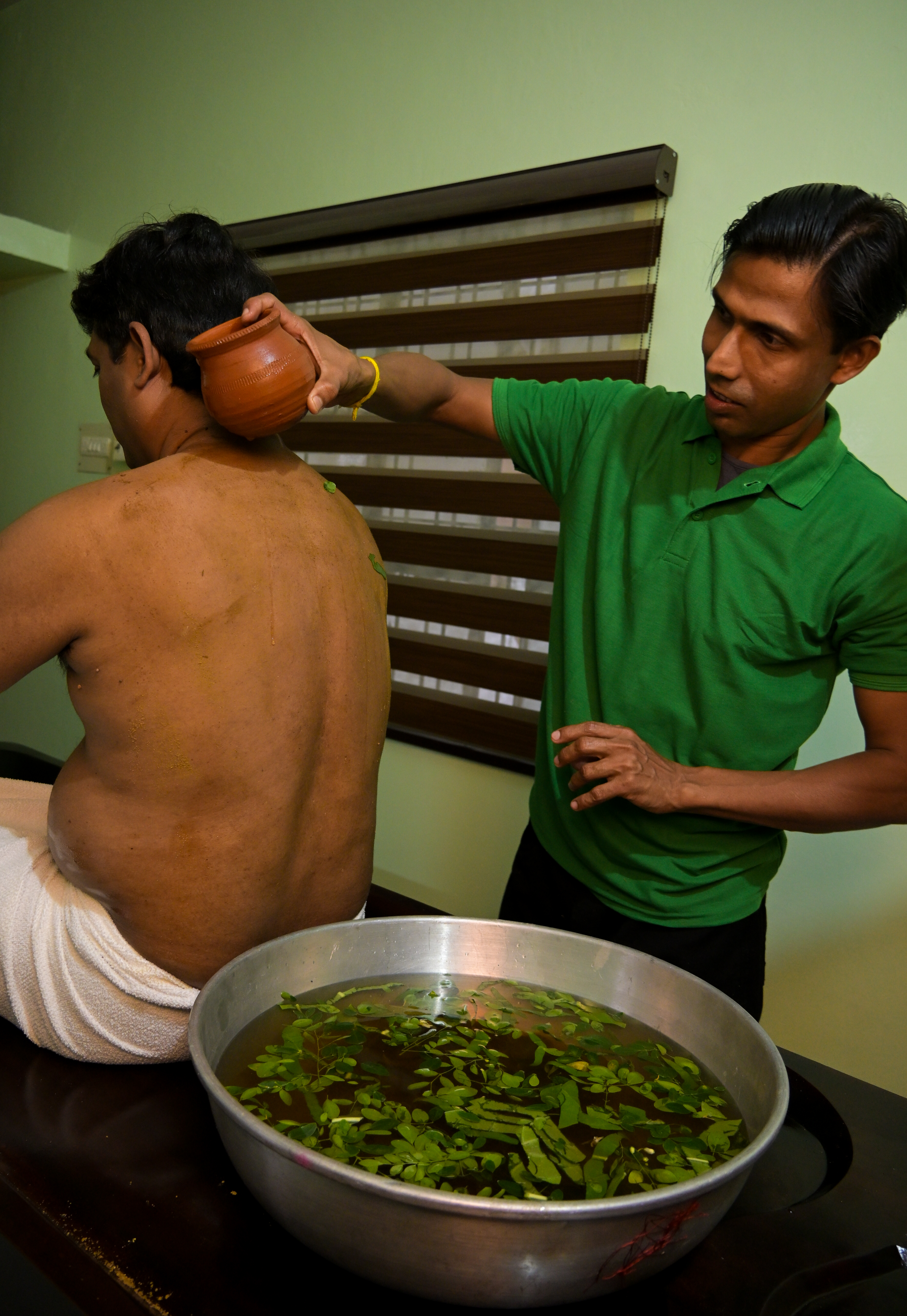 Herbal treatment for back